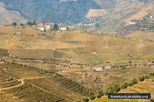 Alto Douro Wine Region