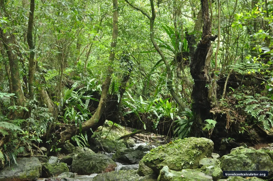 Amami-Oshima Island, Tokunoshima Island, Northern part of Okinawa Island, and Iriomote Island