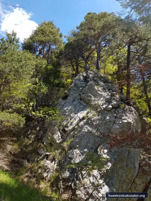 Ancient and Primeval Beech Forests of the Carpathians and Other Regions of Europe