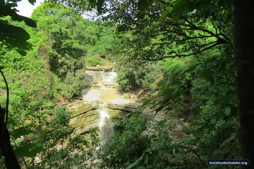 Andrefana Dry Forests