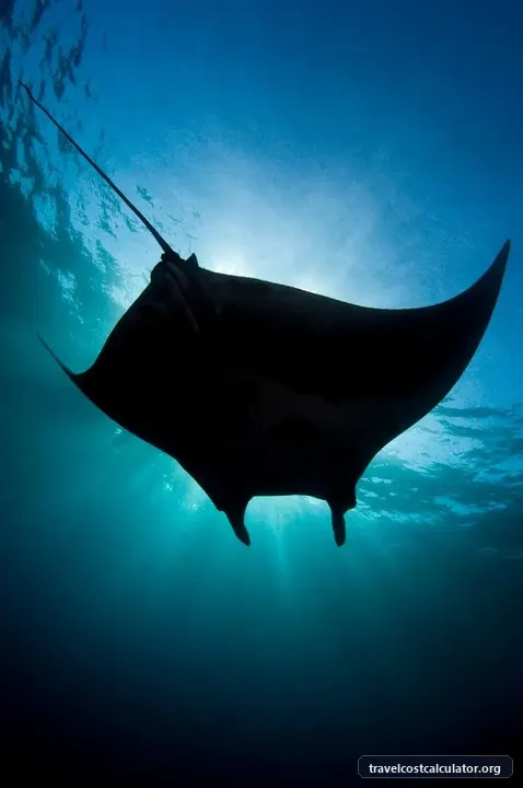 Archipiélago de Revillagigedo