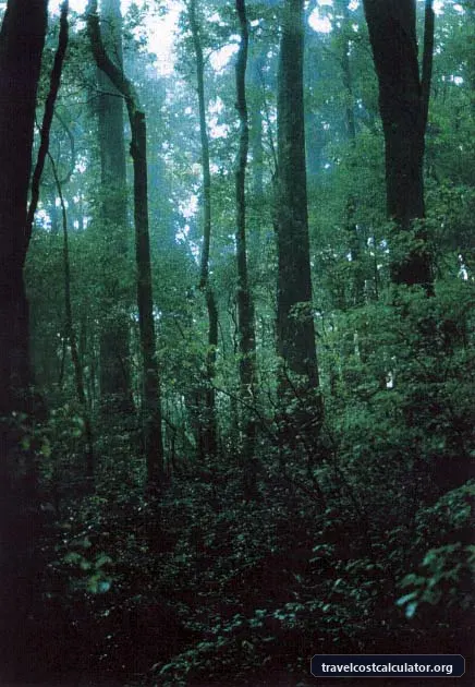 Area de Conservación Guanacaste