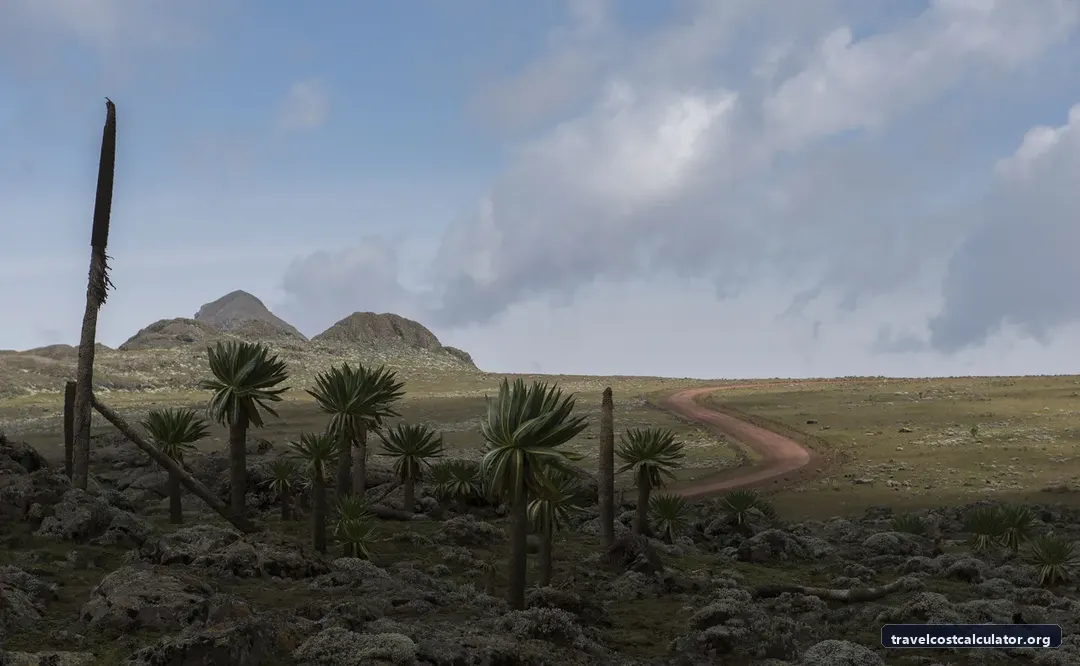 Bale Mountains National Park