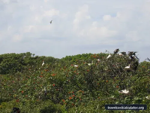 Belize Barrier Reef Reserve System