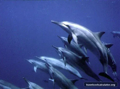 Brazilian Atlantic Islands: Fernando de Noronha and Atol das Rocas Reserves