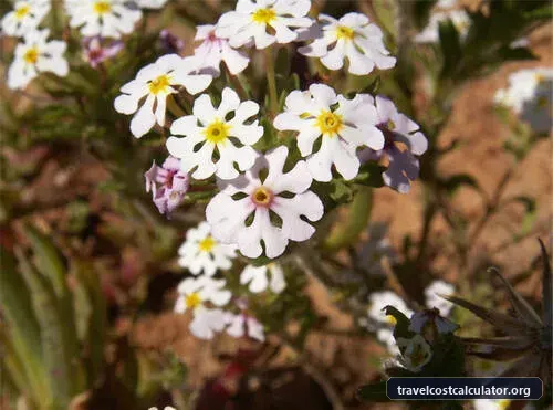 Cape Floral Region Protected Areas