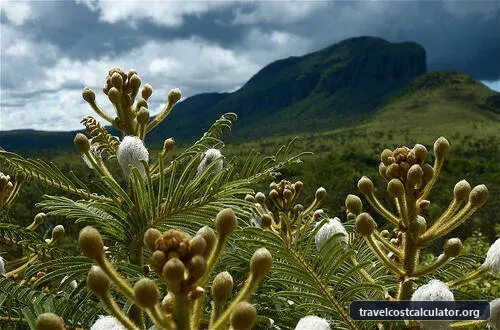 Cerrado Protected Areas: Chapada dos Veadeiros and Emas National Parks