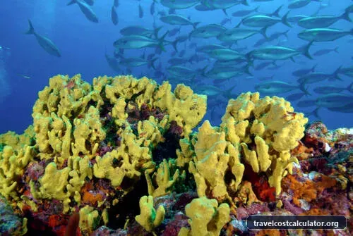 Coiba National Park and its Special Zone of Marine Protection