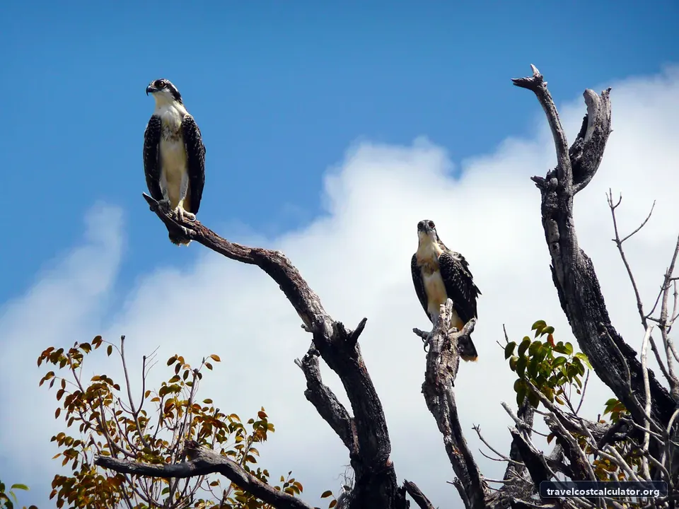 Everglades National Park