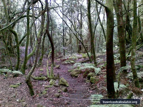 Garajonay National Park