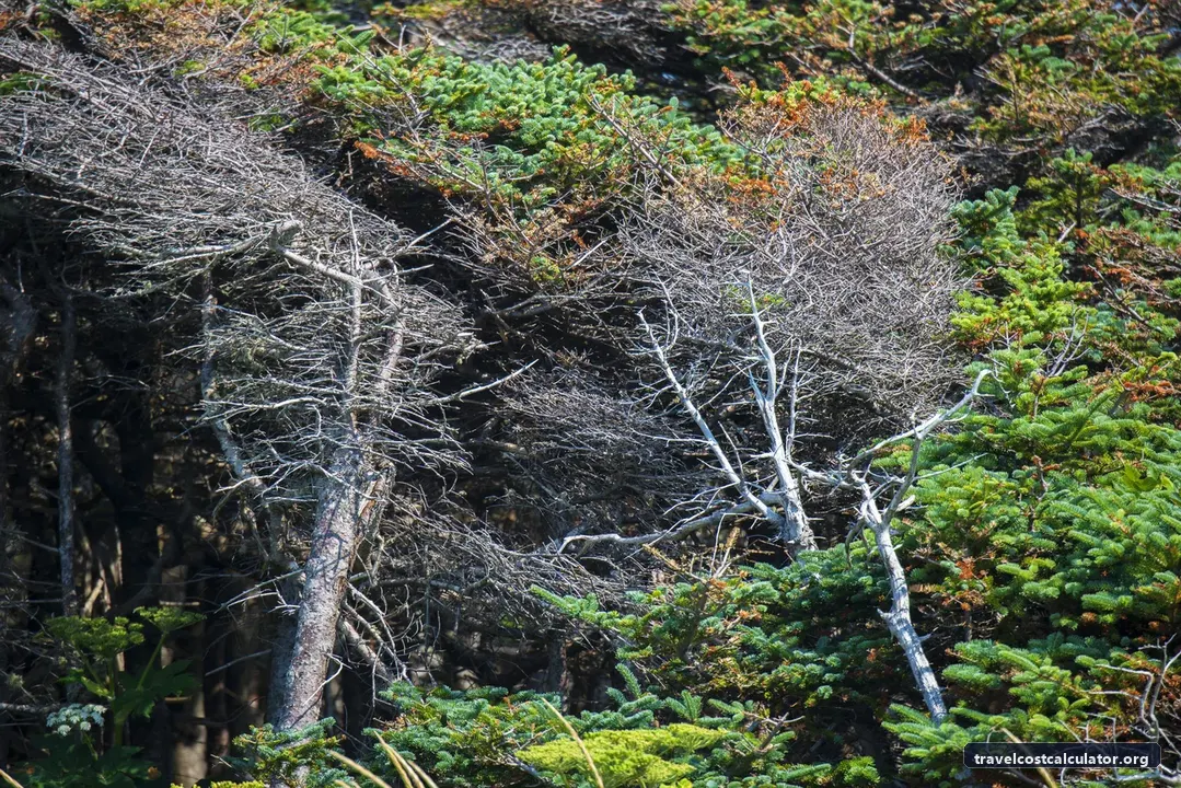 Gros Morne National Park