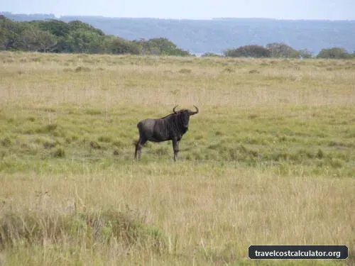 iSimangaliso Wetland Park – Maputo National Park