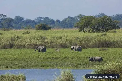 Kaziranga National Park