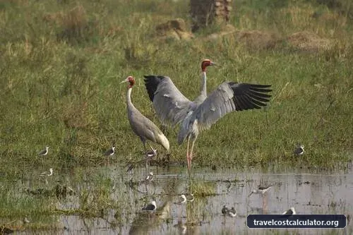 Keoladeo National Park