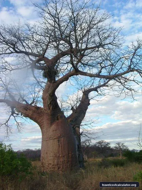 Lake Malawi National Park