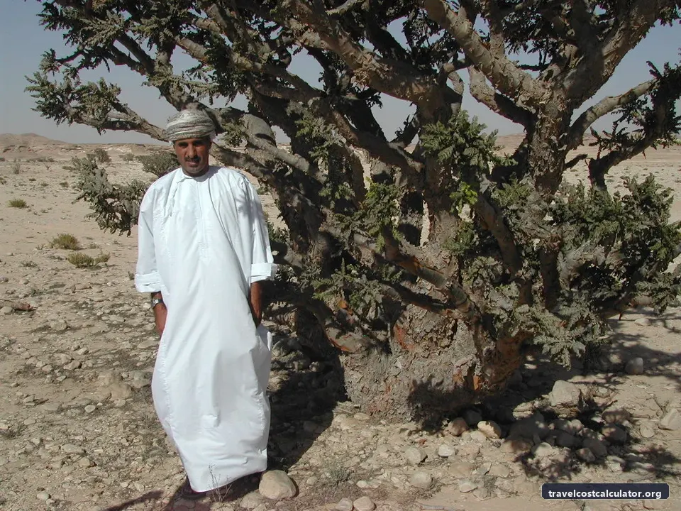 Land of Frankincense
