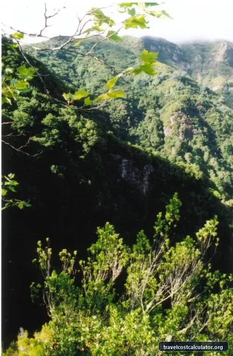 Laurisilva of Madeira