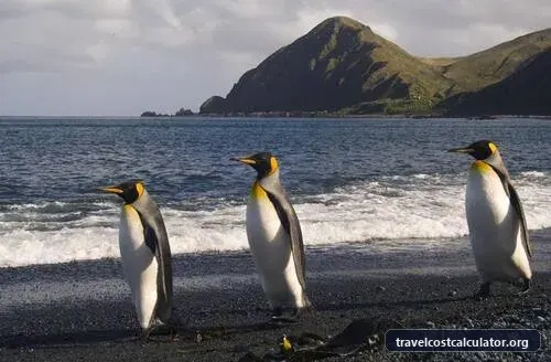 Macquarie Island