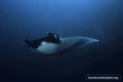 Malpelo Fauna and Flora Sanctuary