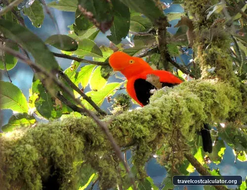 Manú National Park