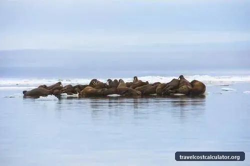 Natural System of Wrangel Island Reserve