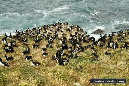 New Zealand Sub-Antarctic Islands