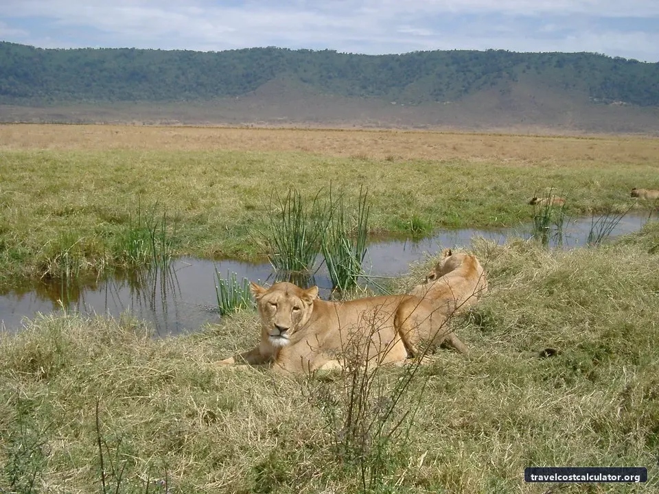 Ngorongoro Conservation Area