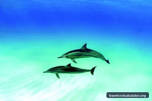 Papahānaumokuākea