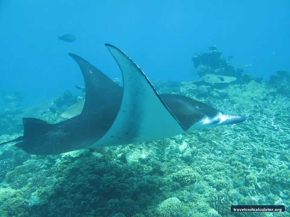Phoenix Islands Protected Area