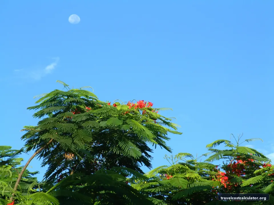 Phong Nha-Ke Bang National Park and Hin Nam No National Park