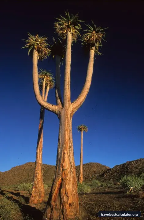 Richtersveld Cultural and Botanical Landscape