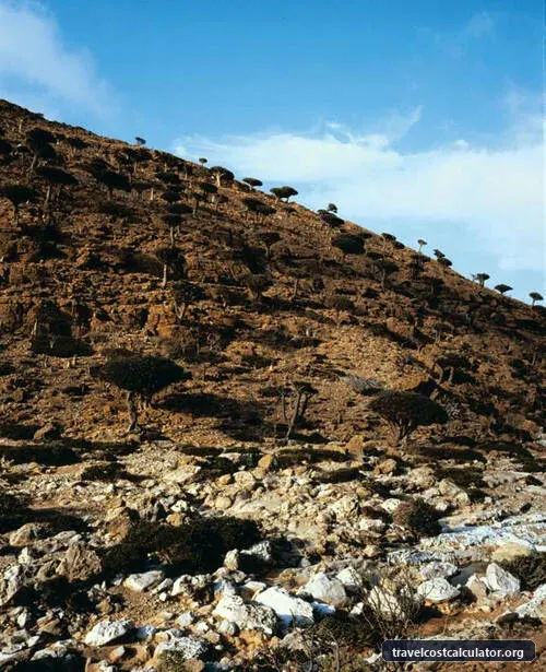 Socotra Archipelago