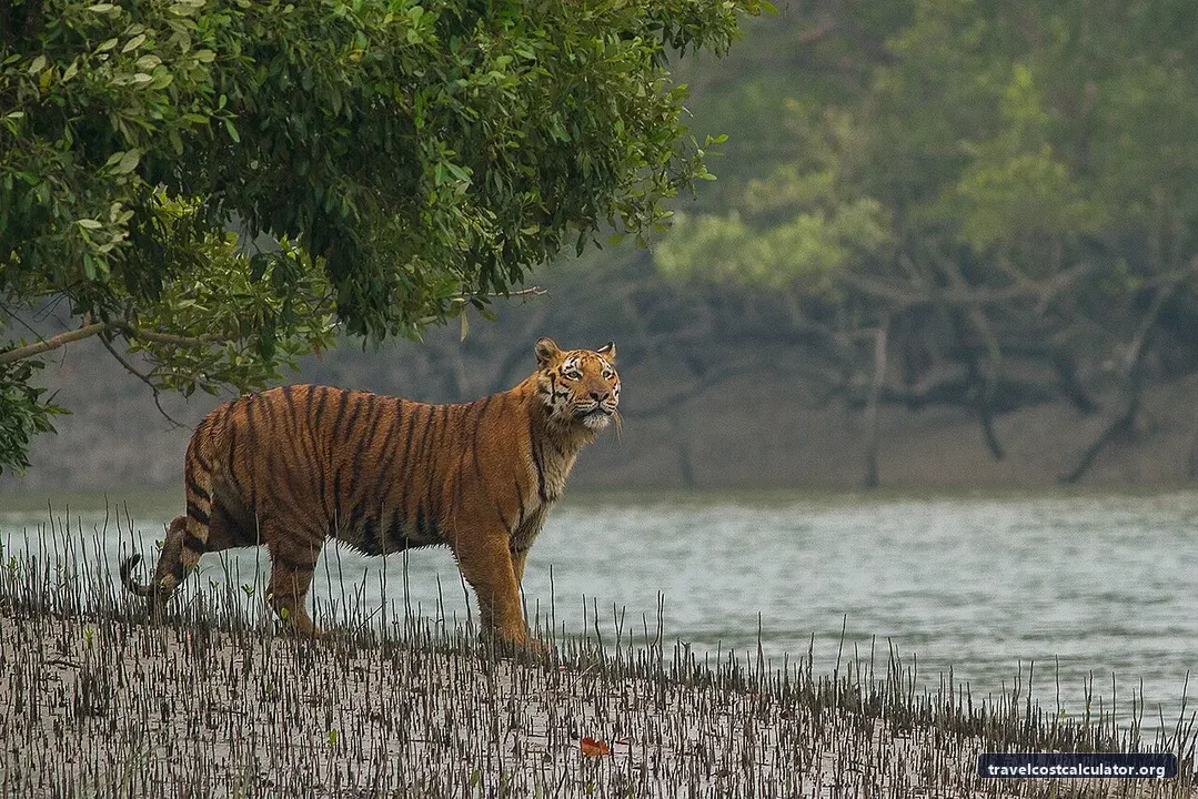 Sundarbans National Park