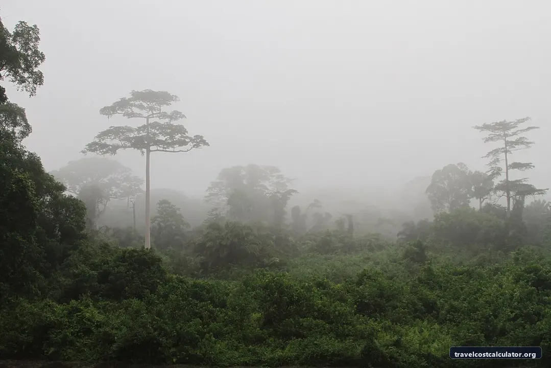 Taï National Park