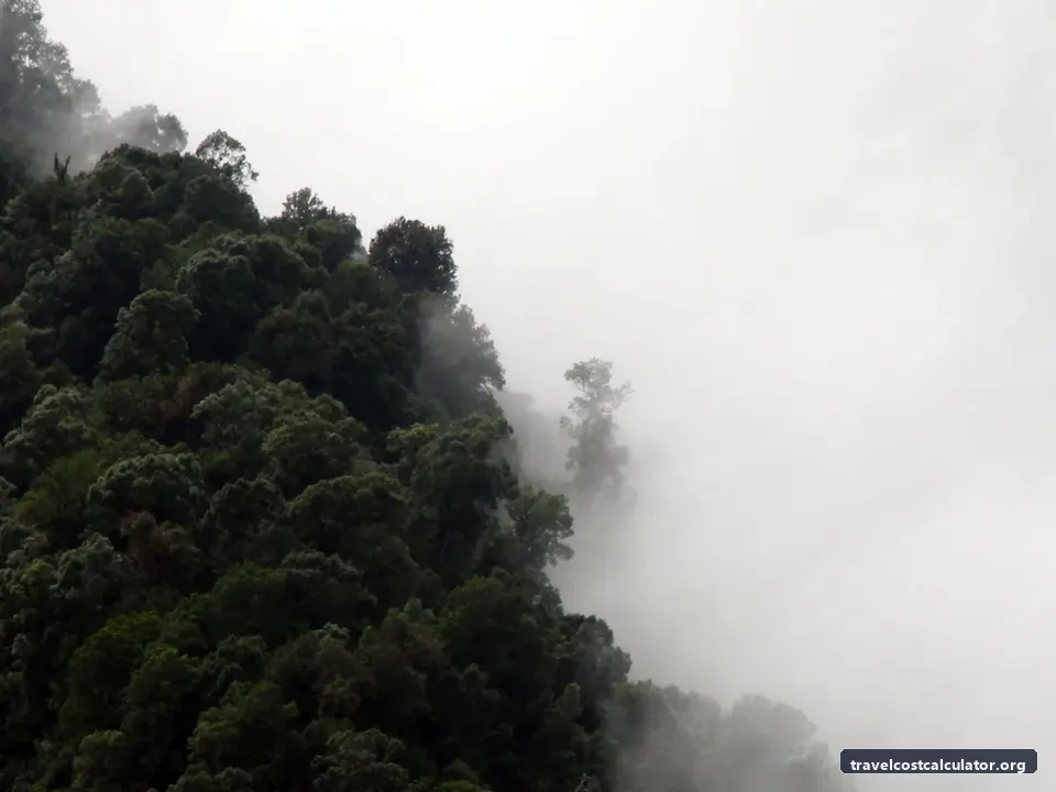 Talamanca Range-La Amistad Reserves / La Amistad National Park