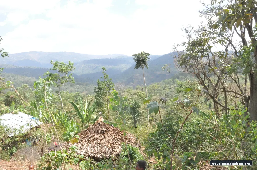 The Gedeo Cultural Landscape