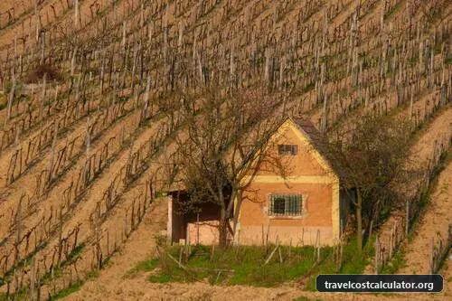 Tokaj Wine Region Historic Cultural Landscape