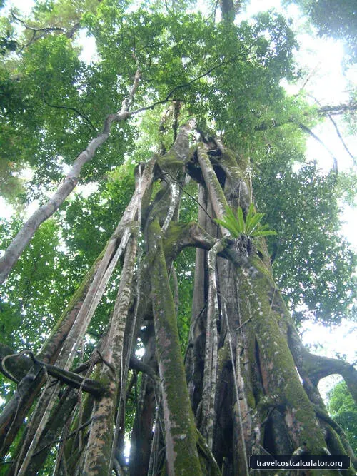 Ujung Kulon National Park