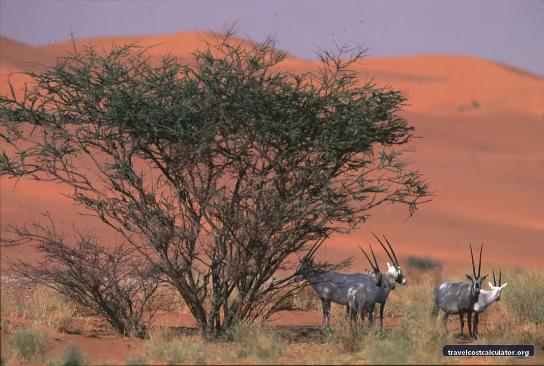 ‘Uruq Bani Ma’arid
