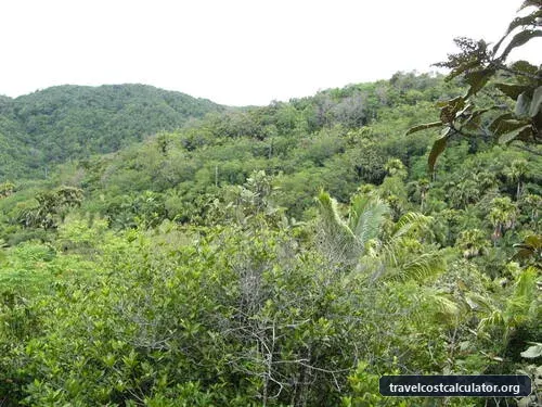 Vallée de Mai Nature Reserve