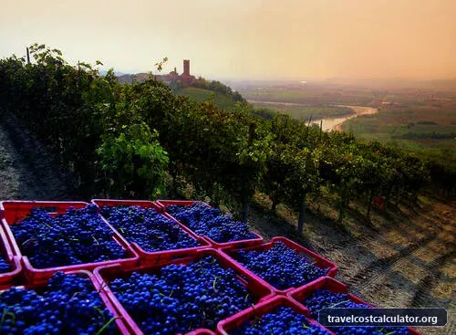 Vineyard Landscape of Piedmont: Langhe-Roero and Monferrato