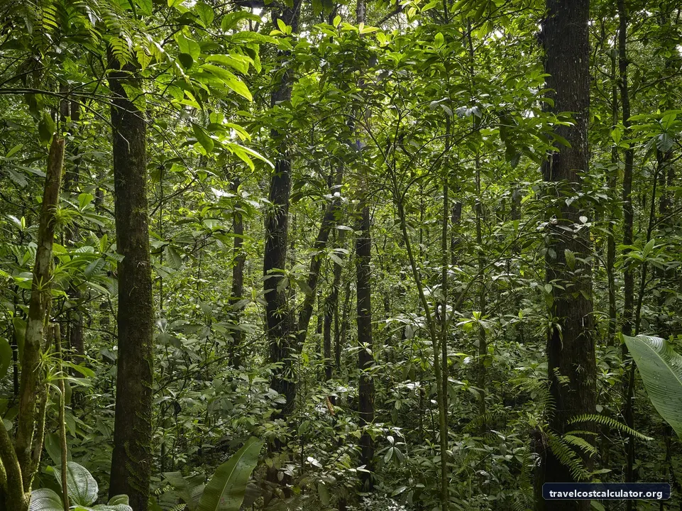 Volcanoes and Forests of Mount Pelée and the Pitons of Northern Martinique