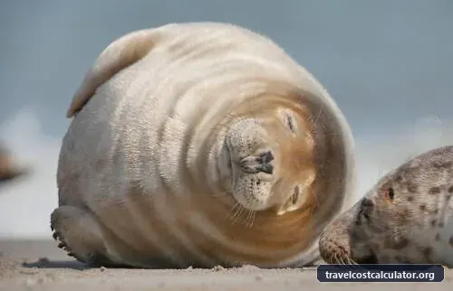 Wadden Sea