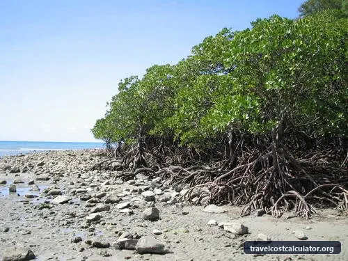 Wet Tropics of Queensland