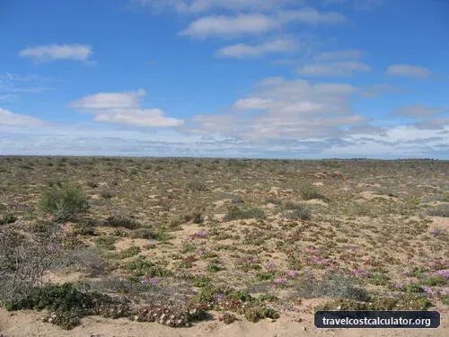 Whale Sanctuary of El Vizcaino
