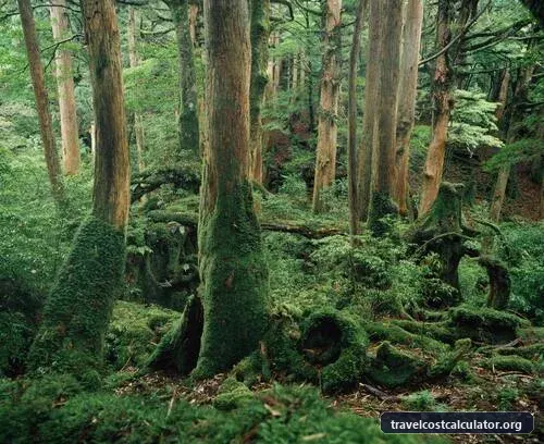 Yakushima